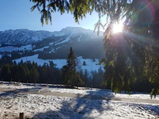 Ferienwohnung Älple im Sonnenpark - 3