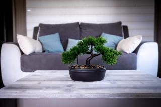 Chalet parc nature océan - 6