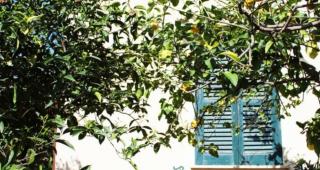 Villetta Sole - 9