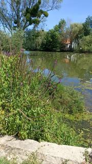 Bienvenue Au Bord De Meuse - 1