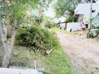 Saraswati Hut - Peaceful Stay at Tiru Arunachala Village - 2
