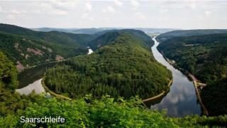 moselquartier terlinden- Apartment - 2