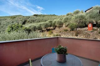 Immerso nel verde - 2