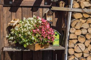 Ferienwohnung am Ps Speicher - 9