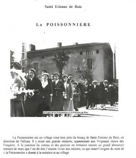 Logis Vendéen, 40 Min De La Mer - 6