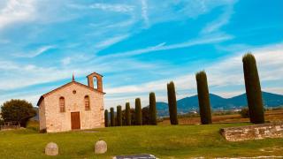 Casa dell'uliveto - 8