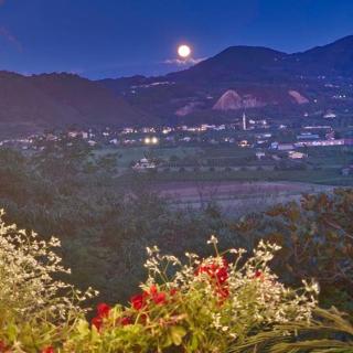 Casa dell'uliveto - 6