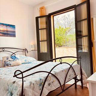 Relax In Toscana con Piscina e Pet - 4