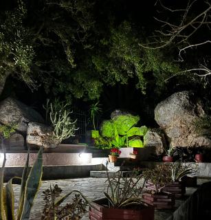 Elis Studio Luxury Apartment - 1