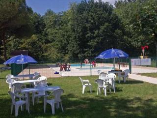 Mobile-home avec terrasse - 5 pers. - API-1-52-2216 - 9
