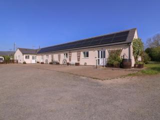 The Turbles - Wagtail - 0