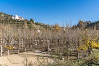 Cortijo El Plantío Castril - 3