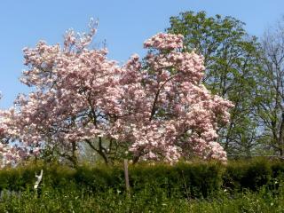 Gästehaus Fischerhäusle - 4