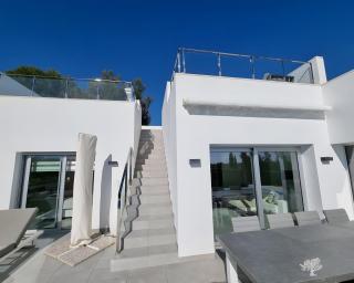 Tipuana 7 - Orihuela - 7