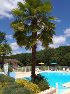 Chalet, Confort, Loisirs et Piscine - 9