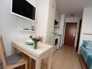 Seepark Falk Wohnungen - Freiburg im Breisgau - 8