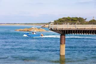 Petite Maison Côte Sauvage - 4