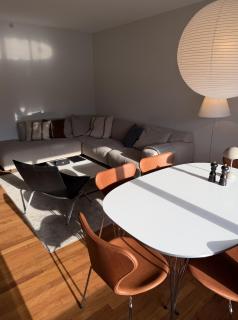 Luxury Apt with Terrace, Pool and Sauna, Copenhagen - 7