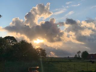 Ferienhaus Immerlicht Norddeich S-H - 5