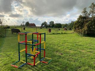 Ferienhaus Immerlicht Norddeich S-H - 4