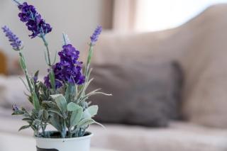 Las Calas D Vistas al Mar - Torrevieja - 2