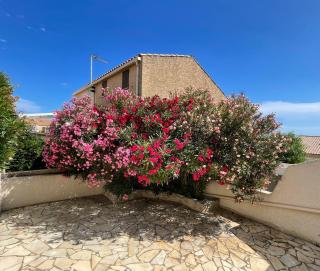 La Maison sur la côte - 0