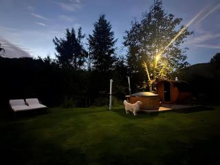 La rosa sul lago - 2