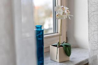 Ferienwohnung Hobmaier - 6