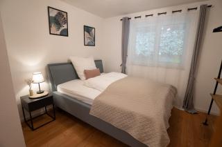 Wohnung im Rheintal - 5