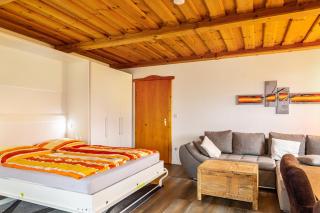 Komfortwohnung mit Pool und Sauna - Hauzenberg - 3