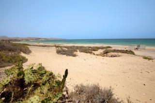 Relax y confort en Costa Calma - 8