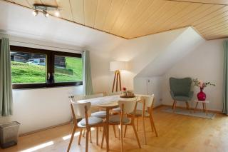 Ferienwohnung Glashütte - 2