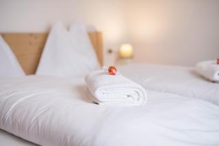 Manuel's App Watschinger -Edelweiss - Sesto - 5