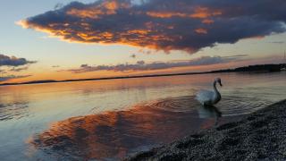 Beim Paulfischer - Eckbankerl - 5