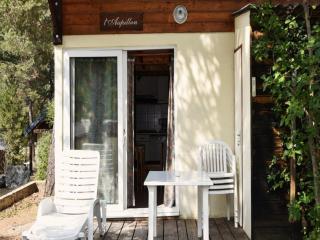Chalet confortable, animaux acceptés - 2 pers. - API-1-52-2369 - 0