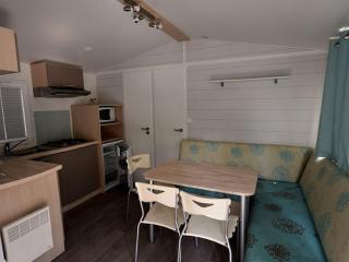 Mobil home accueillant animaux - 2 pers. - API-1-52-2320 - 9