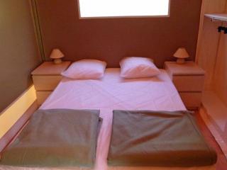 Chalet accueillant animaux - 6 pers. - API-1-52-2330 - 6