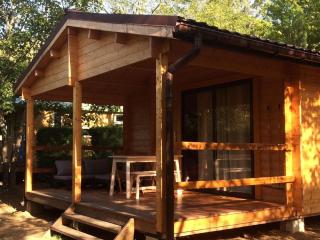 Chalet accueillant, animaux OK - 4 pers. - API-1-52-2386 - 0