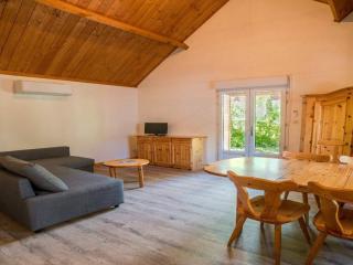 Chalet cosy pour deux, animaux OK - API-1-52-2404 - 4