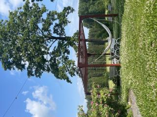 Holiday Home Drömhuset by Interhome - 9