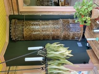 Holiday Home Drömhuset by Interhome - 1