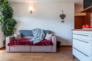 Huberhof App Golden Delicious - Velturno - 5