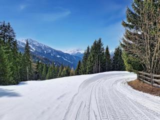 Apartment Naviser Hütte-4 by Interhome - 9