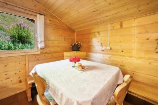 Almbergerhof Wohnung Hirzer - 1