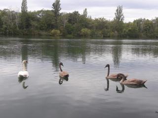 Ferienwohnung Sternenhof - 1