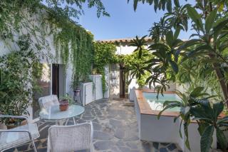 La Rana Verde de Abajo - 8