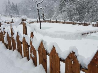 Laugen Lodge - 5