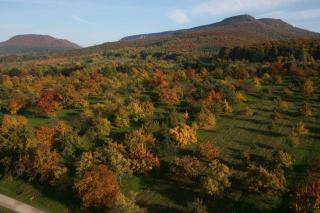 Ferienwohnungen beim Imker - 3