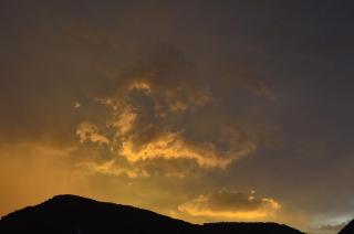 Ferienwohnung Zaunkönig - 9