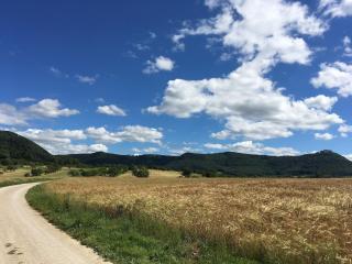 Ferienwohnung Zaunkönig - 8